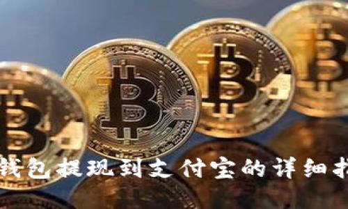 TP钱包提现到支付宝的详细指南
