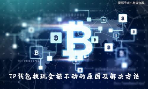 TP钱包提现金额不动的原因及解决方法